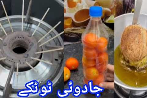 Kitchen Ideas With Zero Cost 5 Amazing Kitchen Tips &amp; hacks  useful cleaning beauty with sa