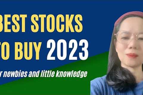 Best Stock to Buy this 2023 | Stock Market Investing