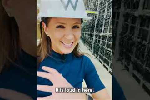 We got a peek inside Whinestone's bitcoin mine in Texas #Shorts