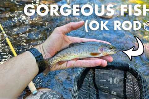 I Really Wanted to Like This Rod... But I Didn't (Tenkara Fly Fishing)