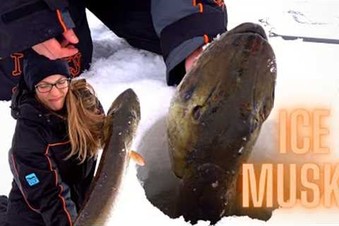 Fishing for the Biggest Fish in the Lake (Big Fish for Banana)