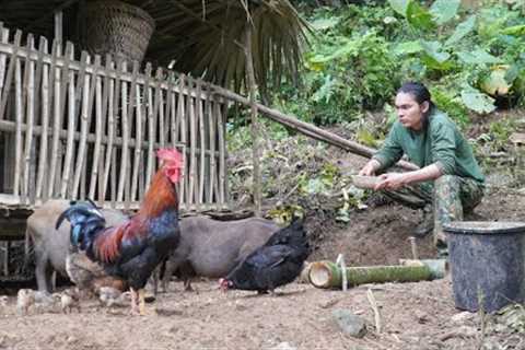pull water to the farm, farm life, survival alone