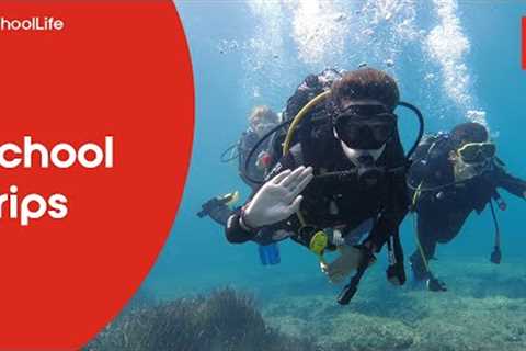 A scuba-diving trip in Menorca!