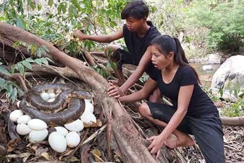 OMG Big snake! See Snake and egg then Cooking eggs for survival food