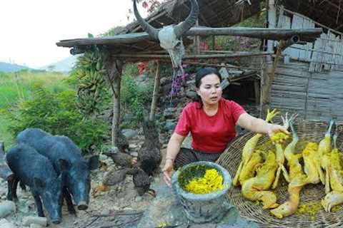 survival in the rainforest-found chicken with banana flower for cook in clay &amp; give to pets HD