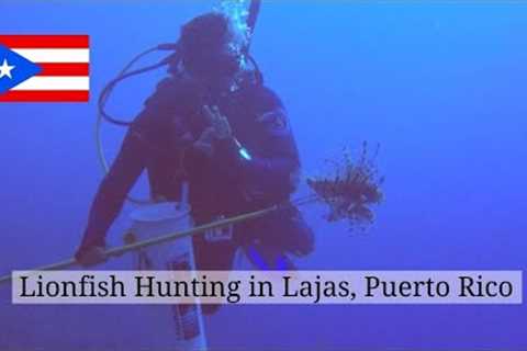 Scuba Diving and Lionfish Hunting in Lajas, Puerto Rico | Travel Puerto Rico