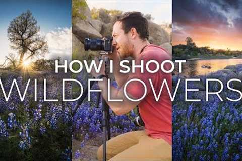 My Favorite Tips For Wildflower Photography &amp; Mistakes To Avoid
