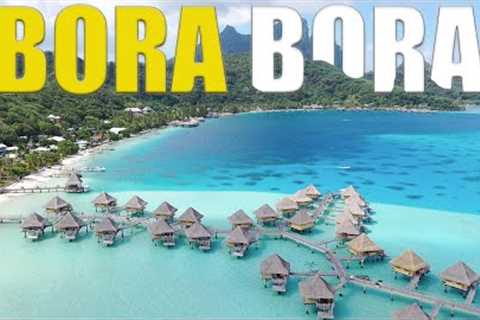 First Scuba Dives In BORA BORA With SHARKS! 🇵🇫🦈