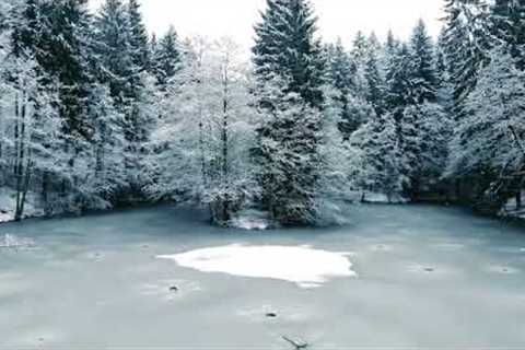 Aerial photography #drone #photography of a #frozen #lake  and the surrounding snow-covered #forest