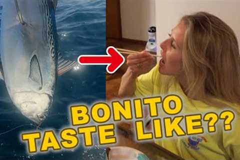 She eats the fish no one keeps | Florida Bonito catch and cook