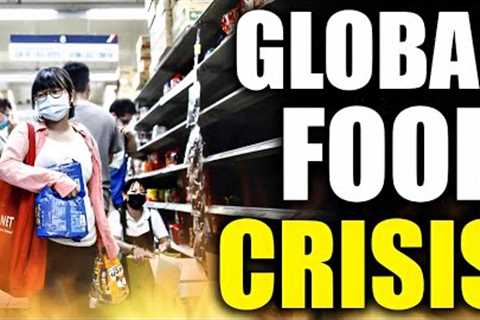 The Looming Crisis: Food Shortages Around the World