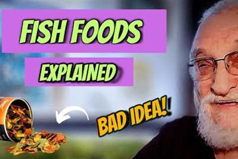 Food for Fish | 7 Rules for Feeding Your Fish