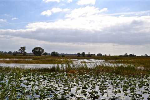 The Top 5 Most Popular Things to Do in Loxahatchee National Park, Florida