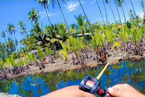 Unlimited Strike in Brackish Mangrove Spots | Snakehead Fishing  #snakeheadfishing #mancingikangabus
