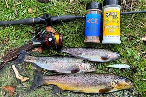 Wild Trout Fishing and Cooking in the Mountains!