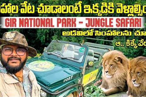 Gir National Park || Lion Safari In Gypsy Route no 2 || Sasan Gir Gujarat | Telugu Travel Vlogger