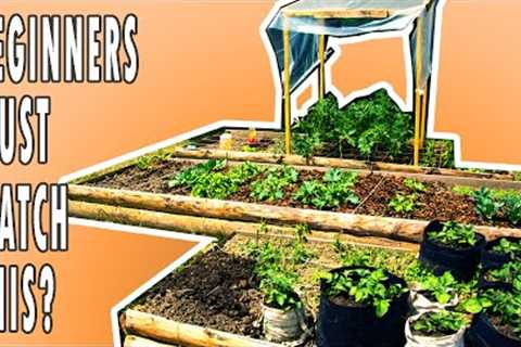 6 STARTING TIPS | Square Foot Gardening In Raised Beds (Do You Know Them ALL?)
