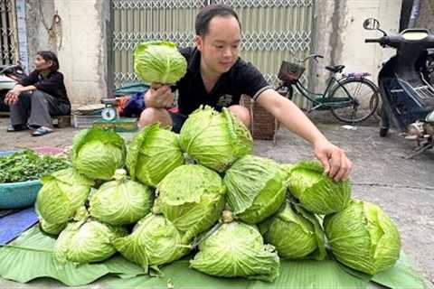 Harvesting Cabbage Garden goes to the market sell | Primitive Skills
