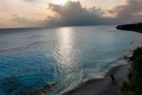 Bonaire Scuba Diving Trip 2022