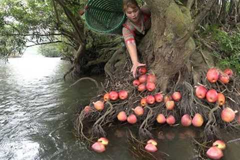 Primordial Skill, Survival Skills, Find Survival Food Found Many Wild Berries Growing In The Roots