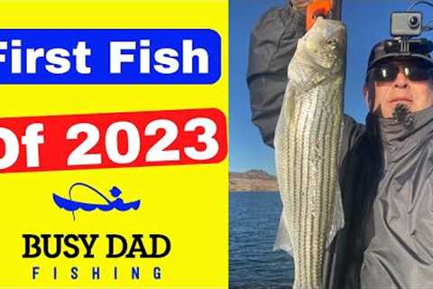 First Fish 2023 at Lake Mead | Surprise Water Level at Hatchery Saddle Point