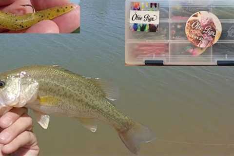 Fishing with Subscribers - Obie Jigs at McKellips Lake AZ