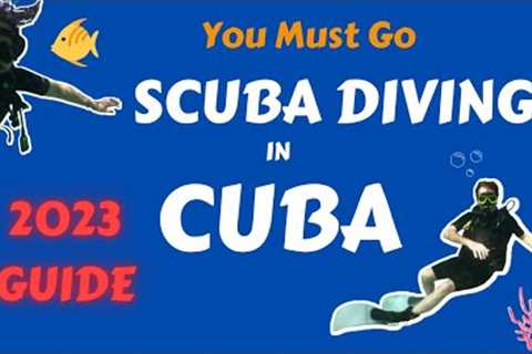 You Must Go Scuba Diving in Cuba! 2023 Guide
