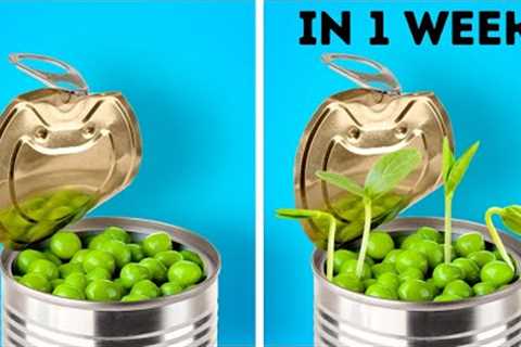 27 PLANT AND GARDEN HACKS || Easy Ways To Grow Seeds And DIY Backyard Upgrades