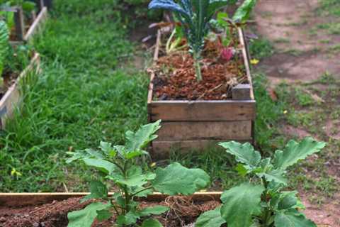 A Guide To Sustainable Gardening