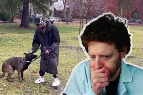 Ready to Bite? Dangerous and Horrifying Aggressive Dog Training Techniques by the Dog Daddy