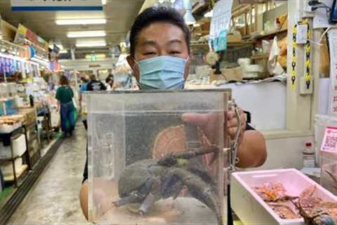 LIVE Coconut Crab (Yashigani) Has Another Surprise For Me! PARASITES!! And I Ate Around Them