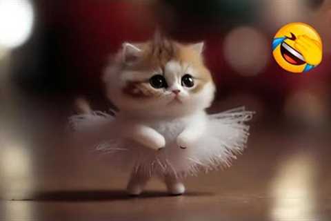 Funny and Cute Cat Videos to Brighten up Your Day | YUFUS #2