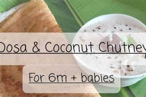 6 month food recipes Baby Led Weaning series #1 Dosa &amp; Coconut chutney #shorts #blw#baby food..