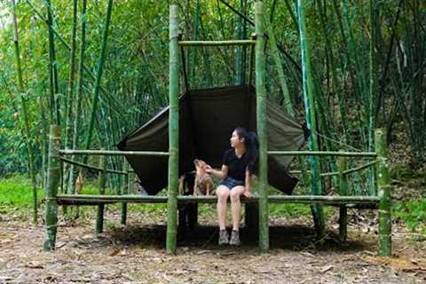 Solo Bushcraft, Exploring the Bamboo Forest - Efforts to Build a Shelter, Part 1