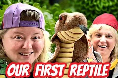 We Bought Our First Reptile 🦎 🐢🐍🐊
