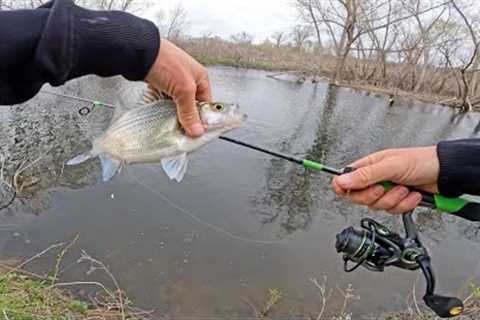 Creek Fishing with Ultralight Tackle for White Bass