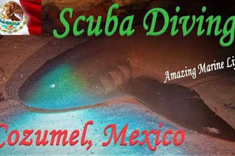 Scuba Diving Cozumel, Mexico 4K