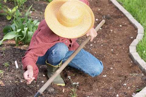 Flower Bed Basics