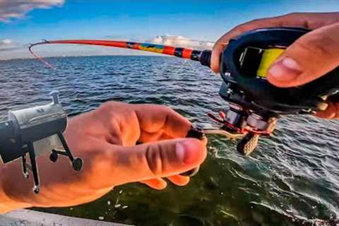 SMOKING FISH then smoking fish *catch and cook*