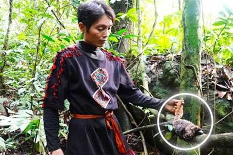 After The Rain, Harvesting Mushrooms - The First Mice Have Been Trapped. | Sơn's Adventure
