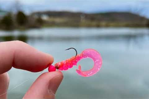 This TINY Pink Lure is a Fish Catching Machine! (Pond Fishing)