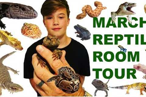 MARCH REPTILE ROOM TOUR - NEW ANIMALS!!!