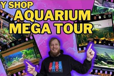 FULL TOUR! Every single display aquarium that me and @MDFishTanks created in my shop.