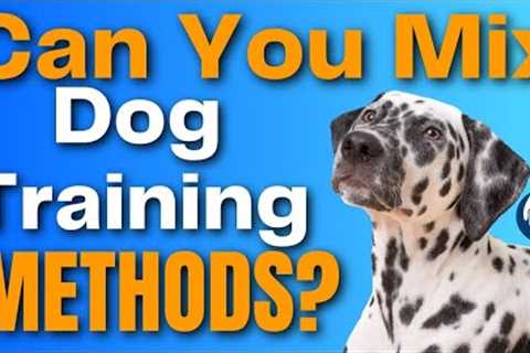 Can Dog Training Be Effective, Efficient AND Compassionate? #201 #podcast