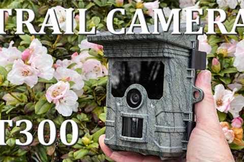 Campark T300 / TC02 Trail Camera - Full In-Depth Review