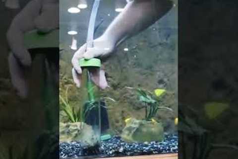 Two tips to clean your aquarium gravel.
