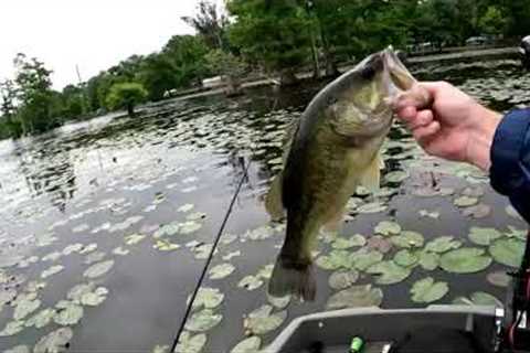 Rainy Summer Day Bass Fishing Lake Conway Arkansas