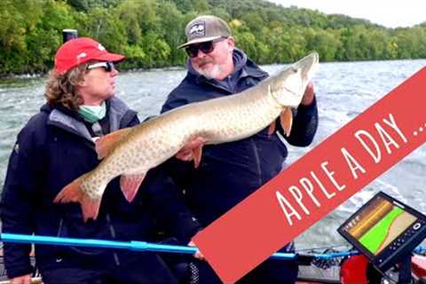 Musky Fishing (Minnesota, Leech Lake)