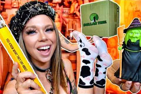 HUGE Dollar Tree Mystery Box Unboxing!
