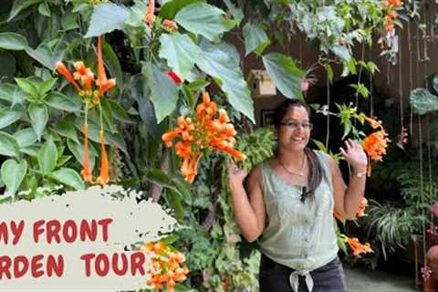 My Garden Tour|| My home entrance decoration||Plants Tour||Garden tour backyard gardening